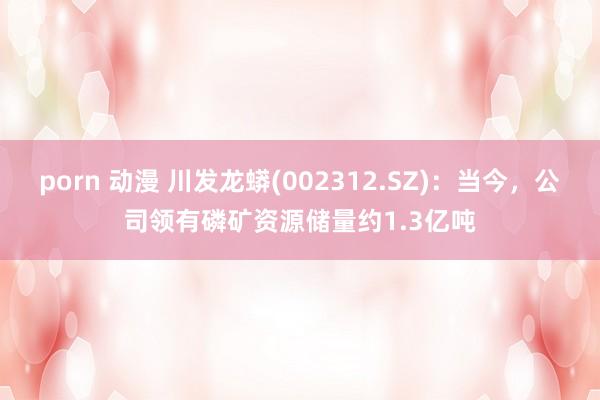 porn 动漫 川发龙蟒(002312.SZ)：当今，公司领有磷矿资源储量约1.3亿吨
