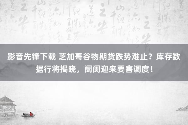 影音先锋下载 芝加哥谷物期货跌势难止？库存数据行将揭晓，阛阓迎来要害调度！