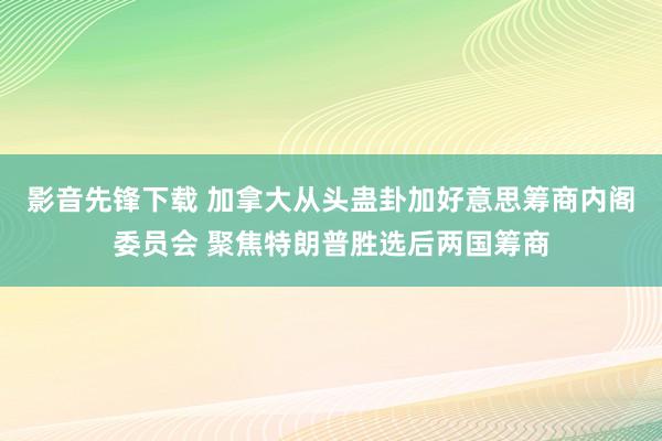 影音先锋下载 加拿大从头蛊卦加好意思筹商内阁委员会 聚焦特朗普胜选后两国筹商