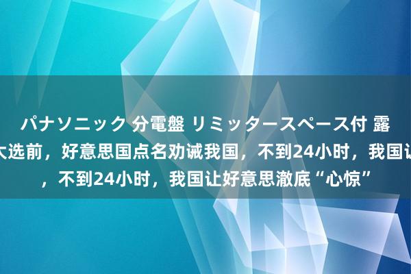パナソニック 分電盤 リミッタースペース付 露出・半埋込両用形 大选前，好意思国点名劝诫我国，不到24小时，我国让好意思澈底“心惊”