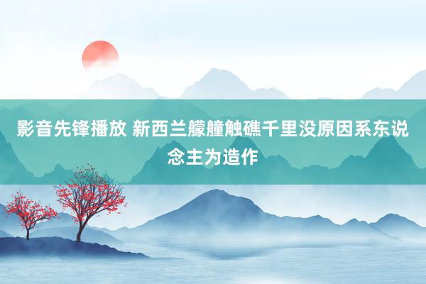 影音先锋播放 新西兰艨艟触礁千里没原因系东说念主为造作