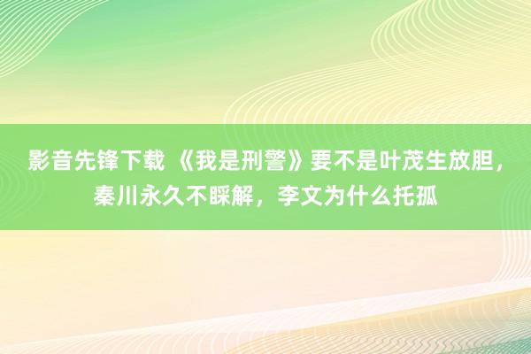 影音先锋下载 《我是刑警》要不是叶茂生放胆，秦川永久不睬解，李文为什么托孤