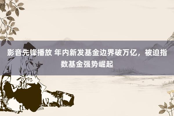 影音先锋播放 年内新发基金边界破万亿，被迫指数基金强势崛起