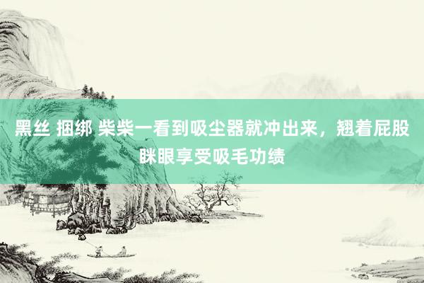 黑丝 捆绑 柴柴一看到吸尘器就冲出来，翘着屁股眯眼享受吸毛功绩