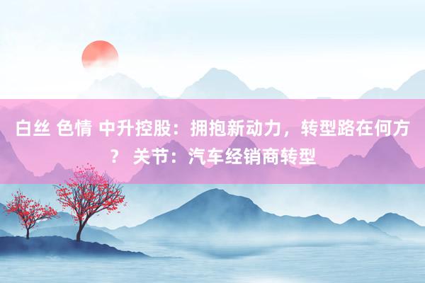 白丝 色情 中升控股：拥抱新动力，转型路在何方？ 关节：汽车经销商转型