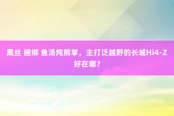 黑丝 捆绑 鱼汤炖熊掌，主打泛越野的长城Hi4-Z好在哪？