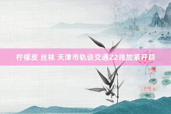 柠檬皮 丝袜 天津市轨谈交通Z2线加紧开辟