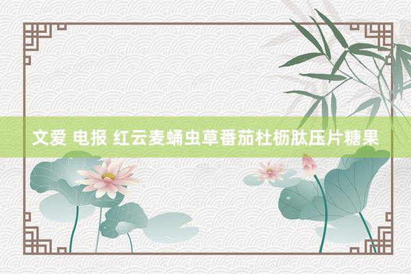 文爱 电报 红云麦蛹虫草番茄杜枥肽压片糖果