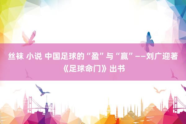 丝袜 小说 中国足球的“盈”与“赢”——刘广迎著《足球命门》出书