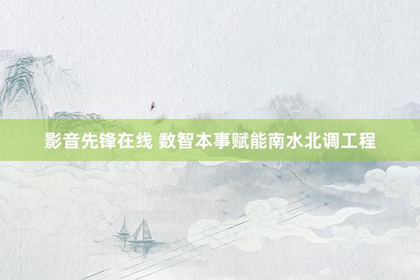 影音先锋在线 数智本事赋能南水北调工程