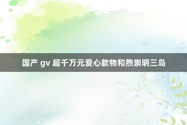 国产 gv 超千万元爱心款物和煦崇明三岛