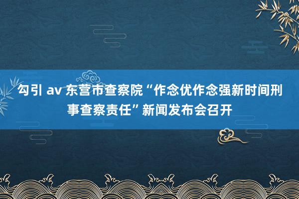 勾引 av 东营市查察院“作念优作念强新时间刑事查察责任”新闻发布会召开