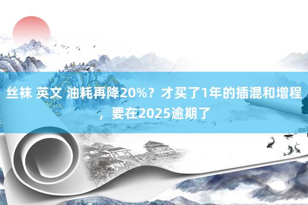 丝袜 英文 油耗再降20%？才买了1年的插混和增程，要在2025逾期了