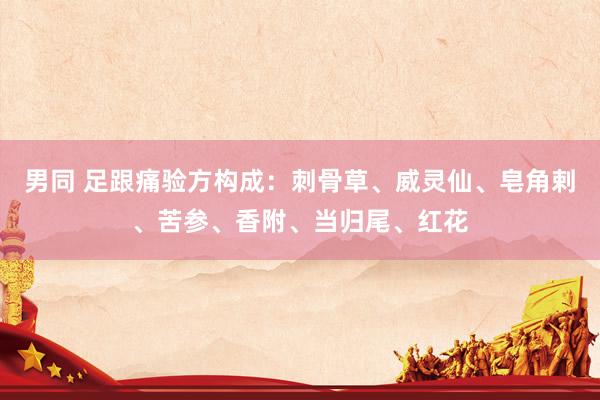男同 足跟痛验方构成：刺骨草、威灵仙、皂角剌、苦参、香附、当归尾、红花