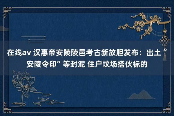 在线av 汉惠帝安陵陵邑考古新放胆发布：出土“安陵令印”等封泥 住户坟场搭伙标的