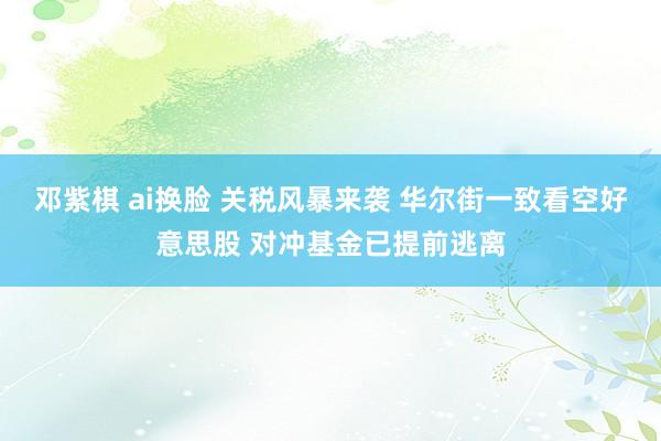 邓紫棋 ai换脸 关税风暴来袭 华尔街一致看空好意思股 对冲基金已提前逃离