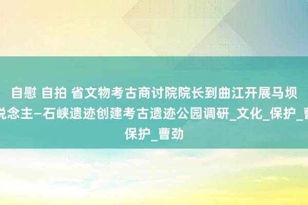 自慰 自拍 省文物考古商讨院院长到曲江开展马坝东说念主—石峡遗迹创建考古遗迹公园调研_文化_保护_曹劲