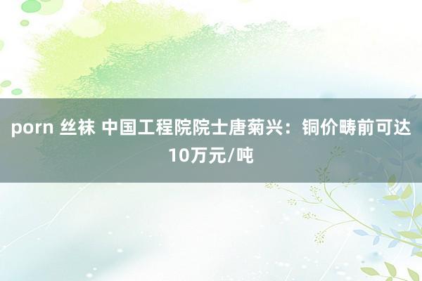 porn 丝袜 中国工程院院士唐菊兴：铜价畴前可达10万元/吨